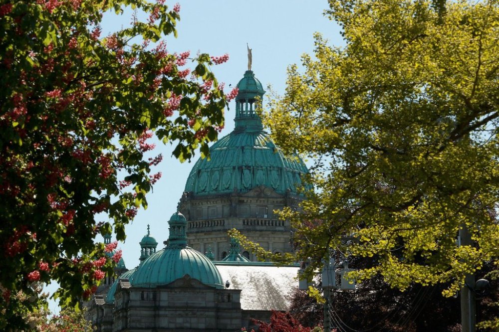 The B.C. legislature is framed within trees at Victoria, B.C., on Wednesday, May 8, 2024. THE CANADIAN PRESS/Chad Hipolito