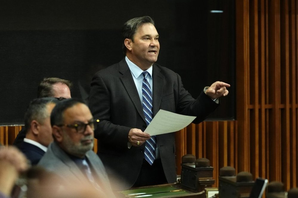 Interim NDP leader Don Davies rises during Question Period in the House of Commons on Parliament Hill in Ottawa, Friday, June 20, 2025. THE CANADIAN PRESS/Justin Tang