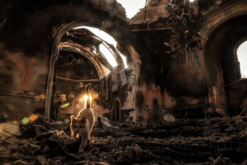 In this photo taken on Oct.13, 2025 and provided by Ukraine's 24th Mechanized Brigade press service, a cat walks inside the damaged church in Kostiantynivka, a frontline town where some 5000 people still stay with no water, electricity and gas supply in the site of heaviest battles with the Russian troops in the Donetsk region, Ukraine. (Oleg Petrasiuk/Ukraine's 24th Mechanized Brigade via AP)