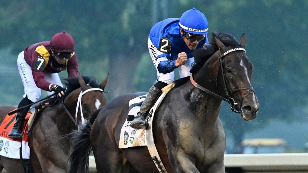 FILE - Jockey Junior Alvarado reacts aboard Sovereignty (2), as he crosses the finish line aboard Sovereignty (2) ahead of Journalism (7), with jockey Umberto Rispoli up, to win the 157th running of the Belmont Stakes horse race, Saturday, June 7, 2025, in Saratoga Springs, N.Y. (AP Photo/Jessica Hill, file)