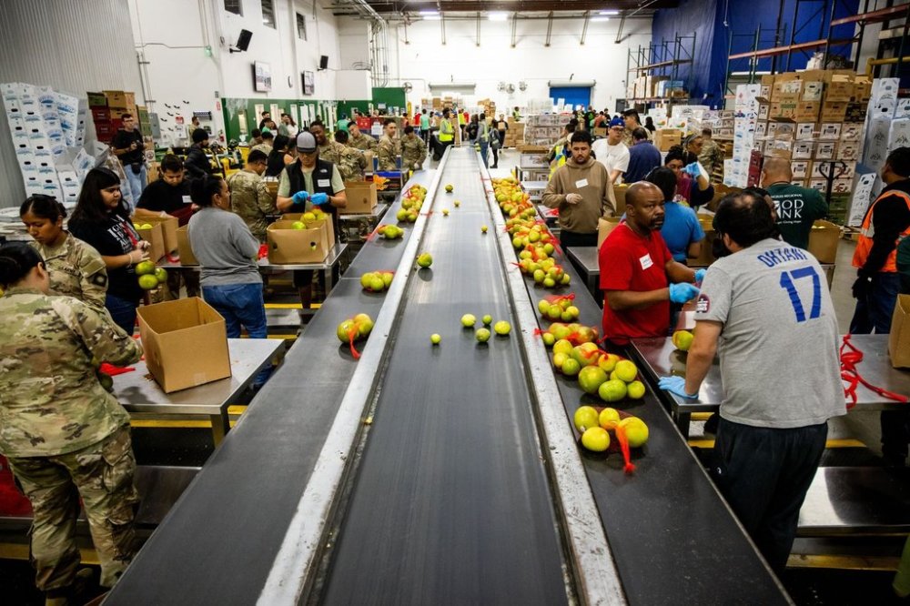 California National Guard sort produce at the Los Angeles Food Bank Wednesday, Oct. 29, 2025, in Los Angeles. (AP Photo/Ethan Swope)