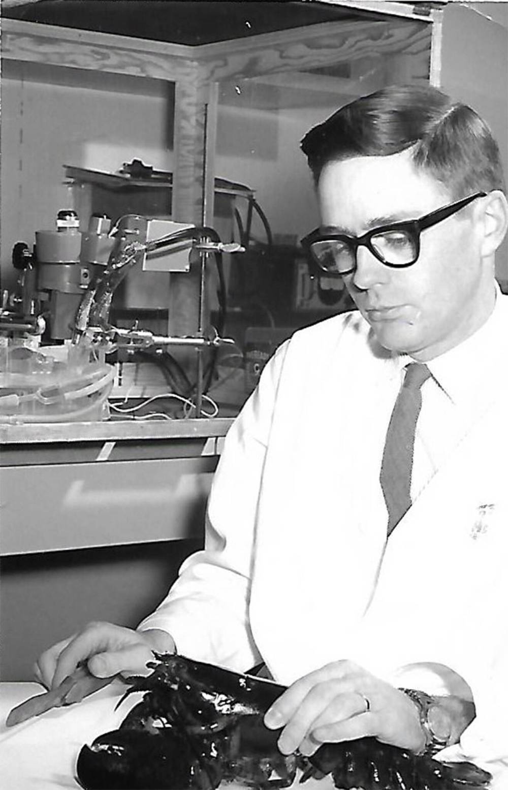 SUPPLIED
Sutherland in 1964 at the Atomic Energy Control Board