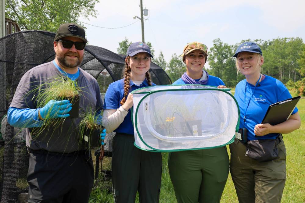 Assiniboine Park Conservancy photos
Members of Assiniboine Park’s conservation and research team