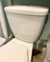 The kind of two-piece toilet that has a tank fastened to a base.