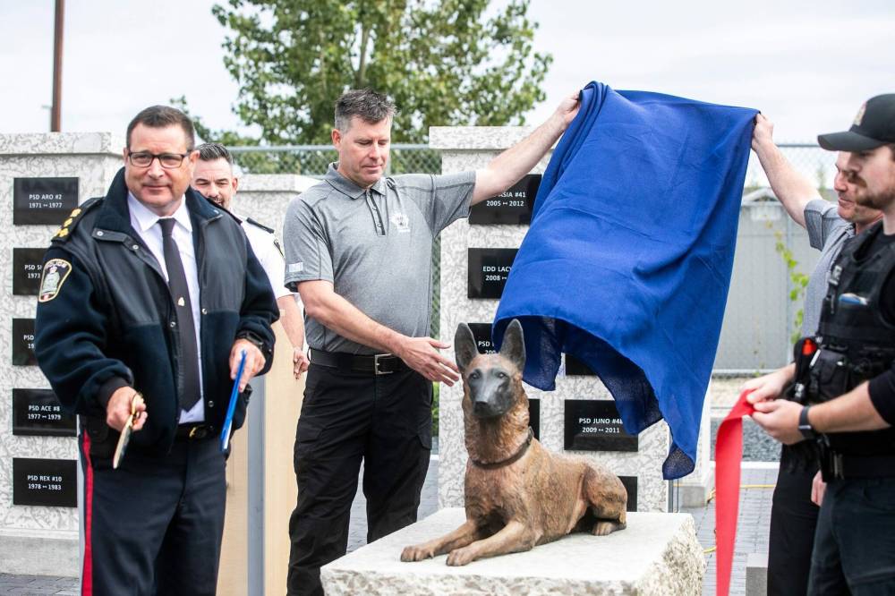 MIKAELA MACKENZIE / FREE PRESS
Const. Dave Weisz, a former handler, unveils a bronze statue for the new canine unit memorial.
