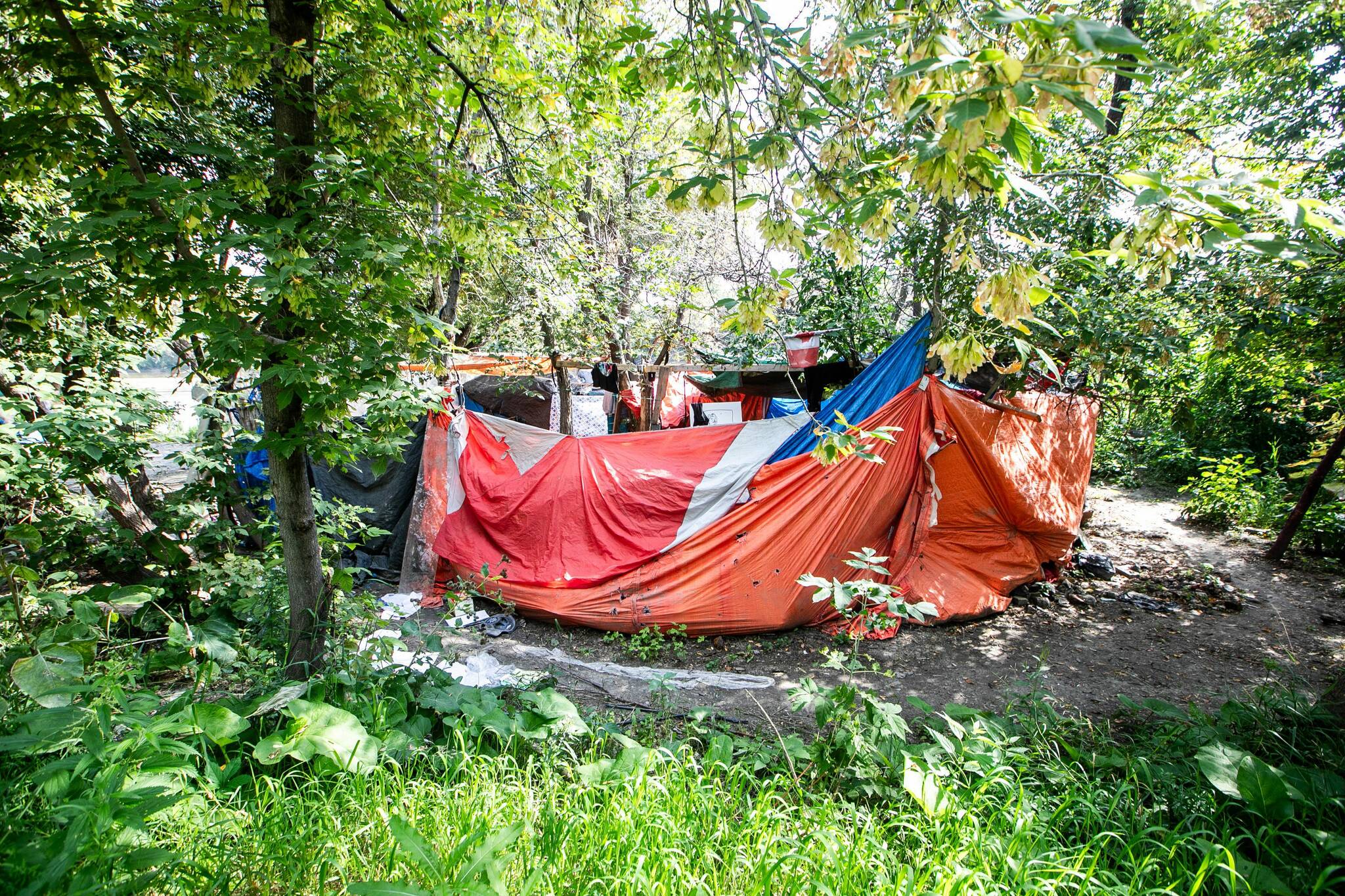Workers took shifts at encampment chop shop: search warrant documents ...