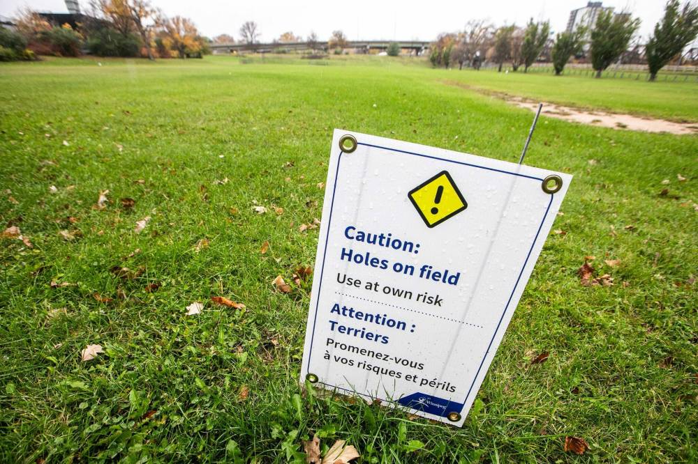 MIKAELA MACKENZIE / FREE PRESS
Theodore Fontaine Park, where signs warn of holes in the field, Thursday. Concerns are being raised by Winnipeggers about ground squirrels wrecking public spaces and fields.