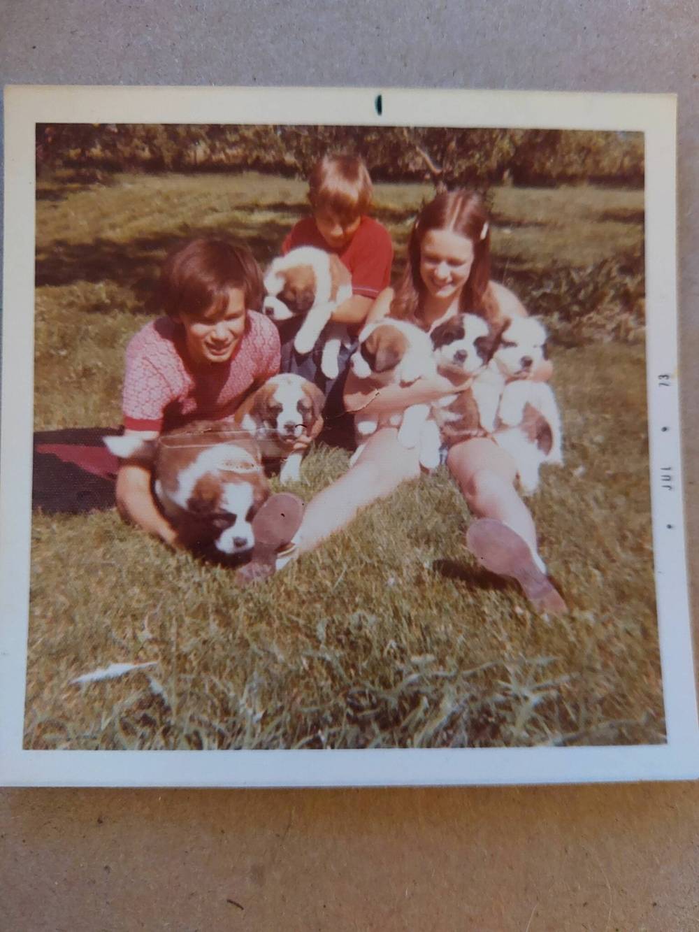 Joey, Tim and Laurie with a litter of puppies