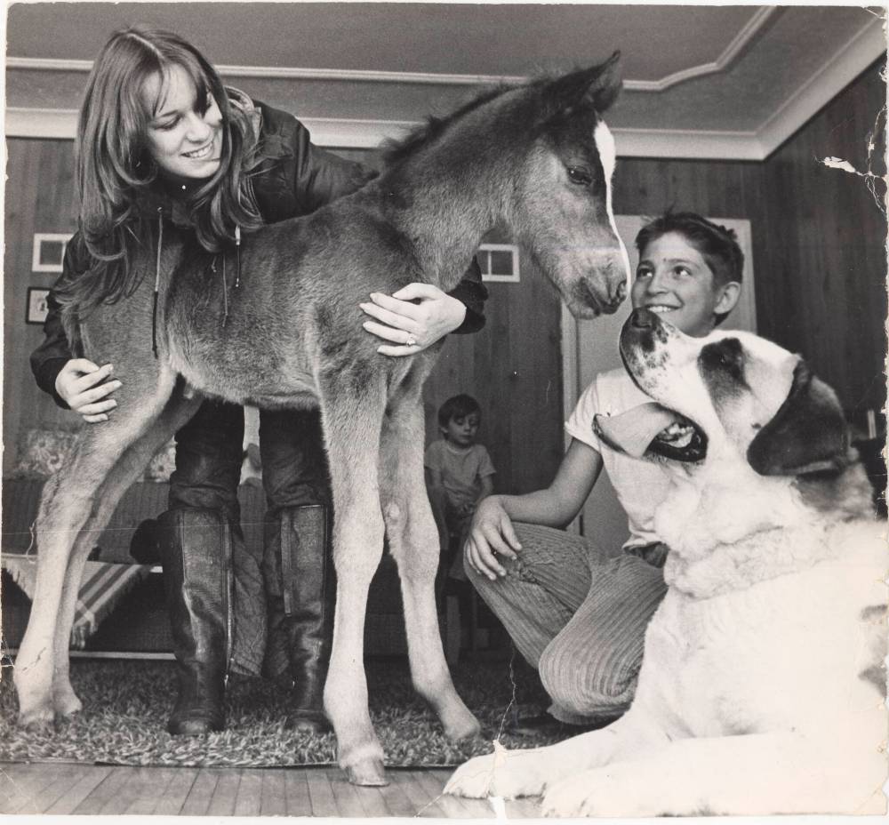 Laurie, Todd (background) and Joey pose for a photo for the Winnipeg Tribune with their dog Mandy and the foal she saved from freezing to death.