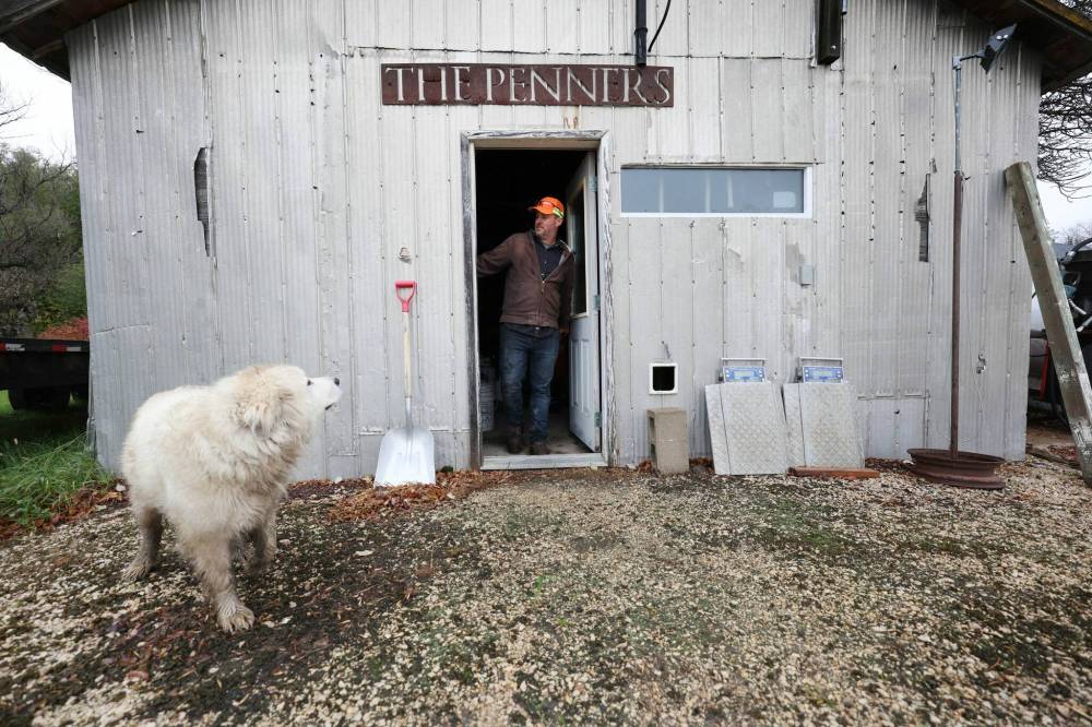 Colin Penner operates an Elm Creek-area grain farm with his brother and semi-retired father. Despite some challenges, the family is pleased with the results this crop year. (Ruth Bonneville / Free Press)