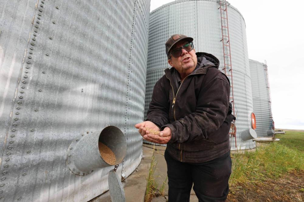 Starbuck-area farmer Chuck Fossay says growth in the domestic canola-crushing industry has helped offset the financial hit from international tariffs. (Ruth Bonneville / Free Press)