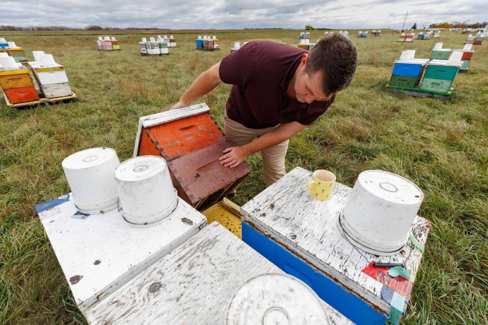 Mike Clark, a third-generation beekeeper from Treesbank, runs the apiary his grandfather started in 1914. After several years of setbacks, the summer of 2025 proved less challenging. (Mike Deal / Free Press)