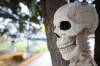 A grinning skeleton greets sidewalk pedestrians outside the Scare Away Cancer Halloween-themed yard on Cedar Bay, owned by Carla and Mike Mitchell. The yard will open on Oct. 24 to the public, and be available for spooky thrill seekers on Oct. 25, 26 and 31. Bring a food bank item to the Mitchell's Scare Away Hunger venue for admission. (Matt Goerzen/The Brandon Sun)