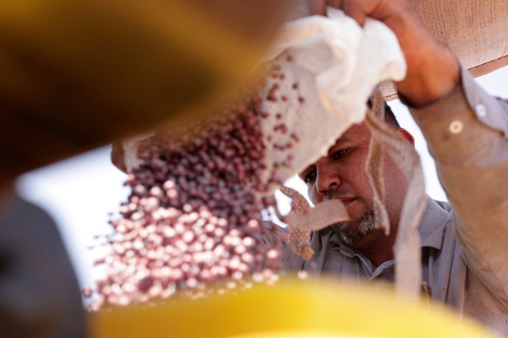 FILE - A farm worker fills a seeder with soy seeds at the Morada do Sol farm in Santa Cruz do Rio Pardo, Sao Paulo state, Brazil, Oct. 15, 2025. (AP Photo/Ettore Chiereguini, File)