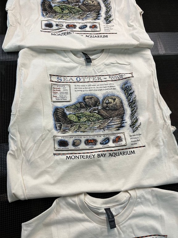 This undated photo provided by Matt Enos shows the Monterey Bay Aquarium t-shirt being printed by Liberty Graphics. (Matt Enos/Liberty Graphics via AP)