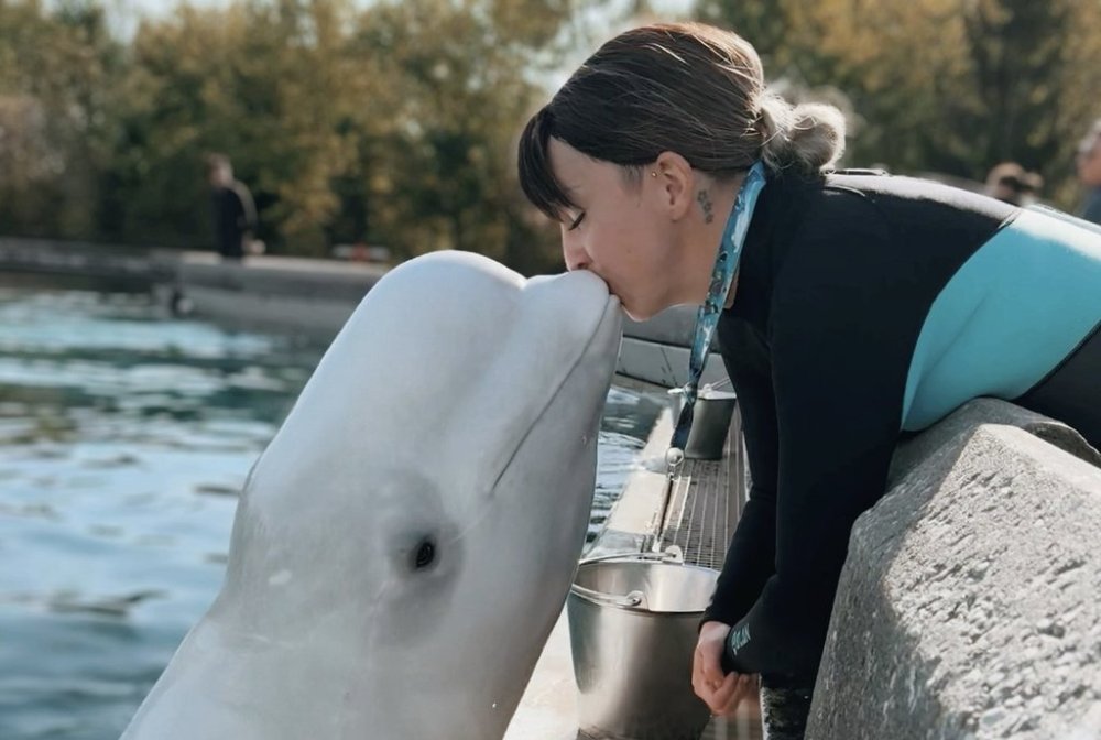 Kristy Burgess is shown in this undated handout photo, kissing a beluga whale at Marineland in Niagara Falls, Ont. THE CANADIAN PRESS/Handout — Kristy Burgess (Mandatory Credit)