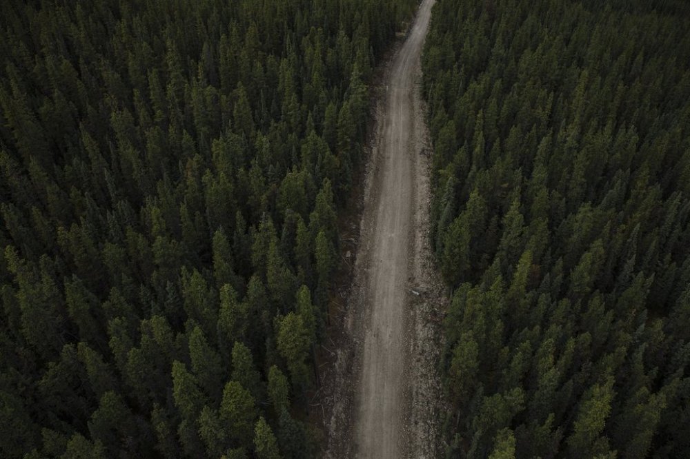 An access road in the Valory Resources Black Eagle Mining Corporation site west of Rocky Mountain House, Alta., Tuesday, June 1, 2021. THE CANADIAN PRESS/Amber Bracken