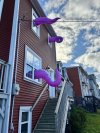 Inflatable Halloween tentacles are seen on a house in downtown St. John's, N.L., on Thursday, Oct. 30, 2025. THE CANADIAN PRESS/Sarah Smellie