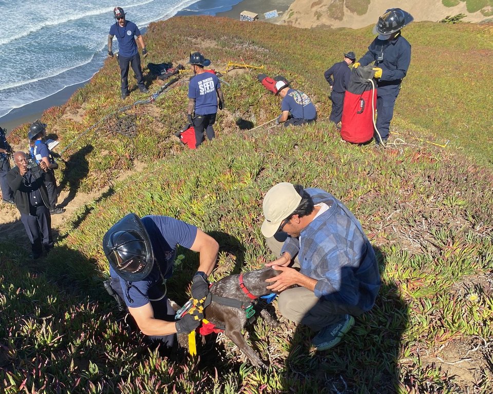 This photo provided by the San Francisco Fire Department shows the owner of a dog greeting his pooch after firefighters rescued it after it felll off a sea cliff in San Francisco on Tuesday, Oct. 28, 2025. (Rescue Captain Samuel Menchaca/San Francisco Fire Department via AP)