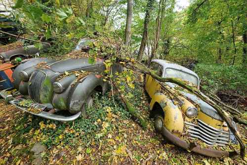 Vintage cars are covered by fall leaves inside a private car sculpture park within a forest in Neanderthal Valley in Mettmann, Germany, Sunday, Oct. 19, 2025. (AP Photo/Martin Meissner)