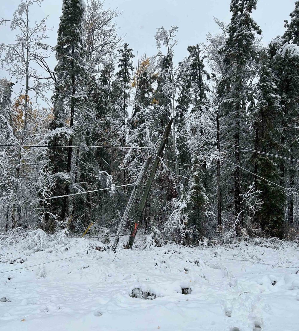 MANITOBA HYDRO PHOTO
High winds, rain and heavy wet snow caused damage and brought trees down on overhead power lines in many areas.