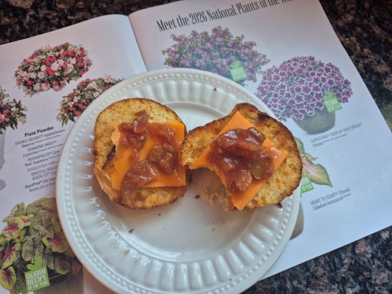 Homemade pear lemon and ginger preserves with cheese on a toasted scone. (Colleen Zacharias photo)