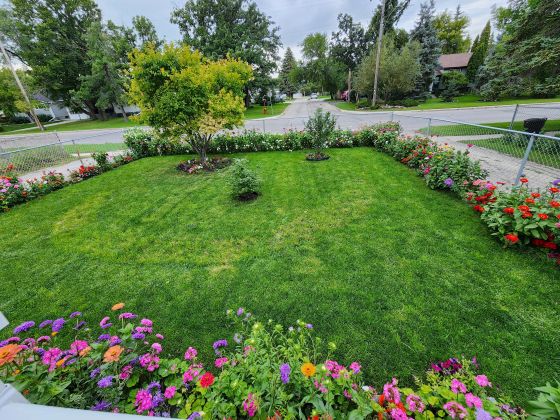 Don Edward Wijesuriya's flower garden with 400 annuals grown from seed. (Don Edward Wijesuriya photo)