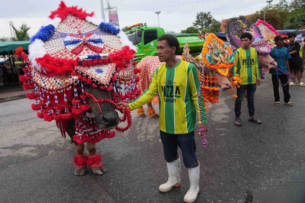 People show off their decorated buffalos during an annual buffalo racing festival in Chonburi, Thailand, Monday, Oct. 6, 2025. (AP Photo/Sakchai Lalit)
