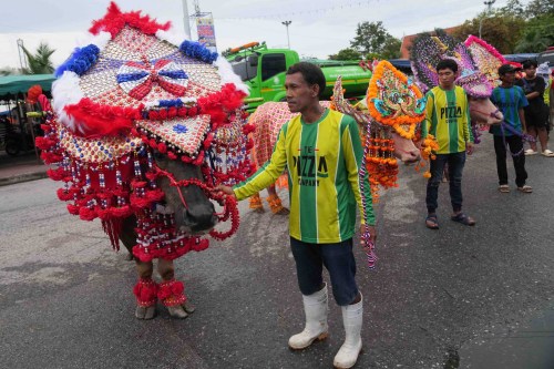 People show off their decorated buffalos during an annual buffalo racing festival in Chonburi, Thailand, Monday, Oct. 6, 2025. (AP Photo/Sakchai Lalit)