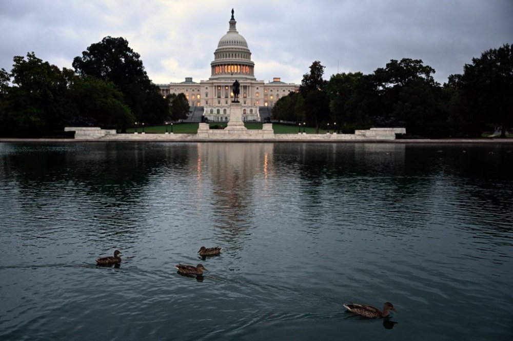 Ducks swim at daybreak in the U.S. Capitol Reflecting Pool during the 8th day of the government shutdown on Wednesday, Oct. 8, 2025, in Washington. (AP Photo/John McDonnell)