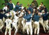 Toronto Blue Jays members mob teammate Joe Carter after his game winning home run in bottom of 9th in game 6 of World Series, October 23, 1993. (AP Photo)