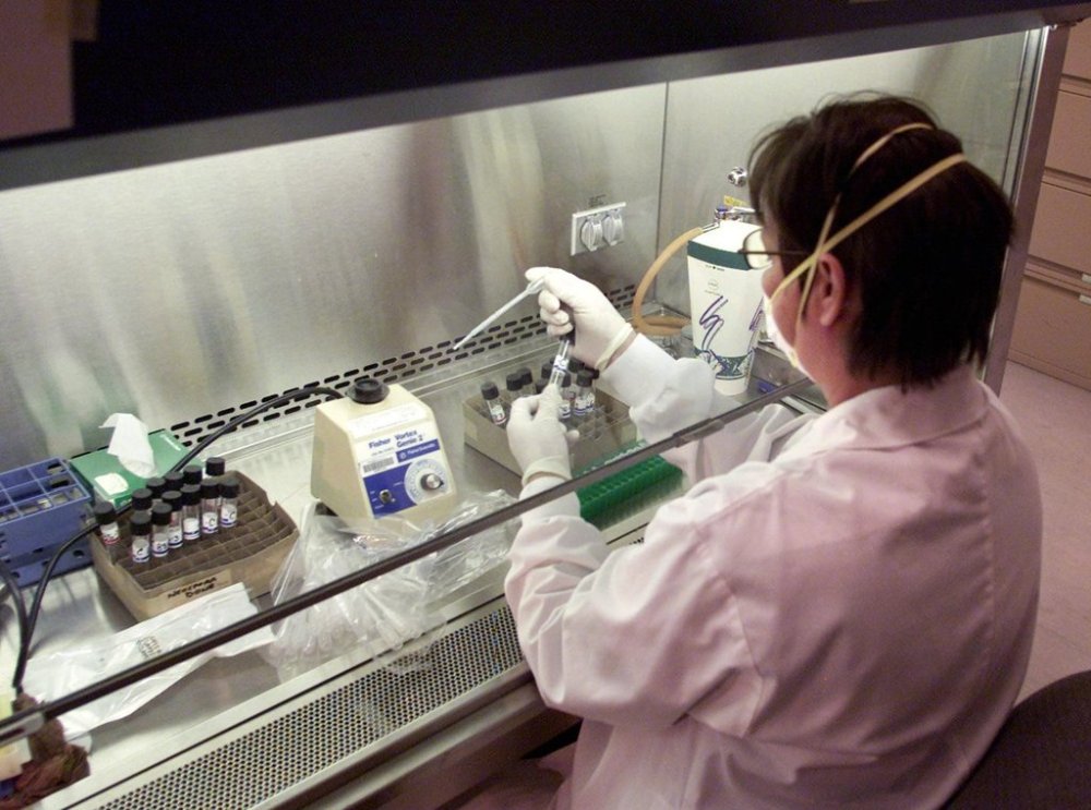 Lab technician Cheryl Cecconi test sample swabs from various flocks throughout the region for avian influenza at the B.C. Animal Health Centre in Abbotsford, B.C. Tuesday April 13, 2004. THE CANADIAN PRESS/Chuck Stoody