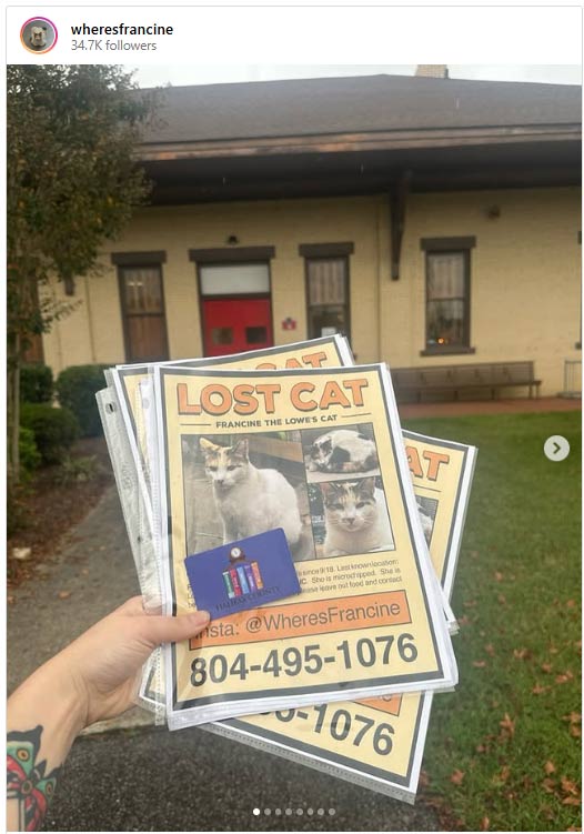 An Instagram account unaffiliated with Lowe's dedicated to finding Francine grew to more than 34,000 followers. (wheresfrancine / Instagram)