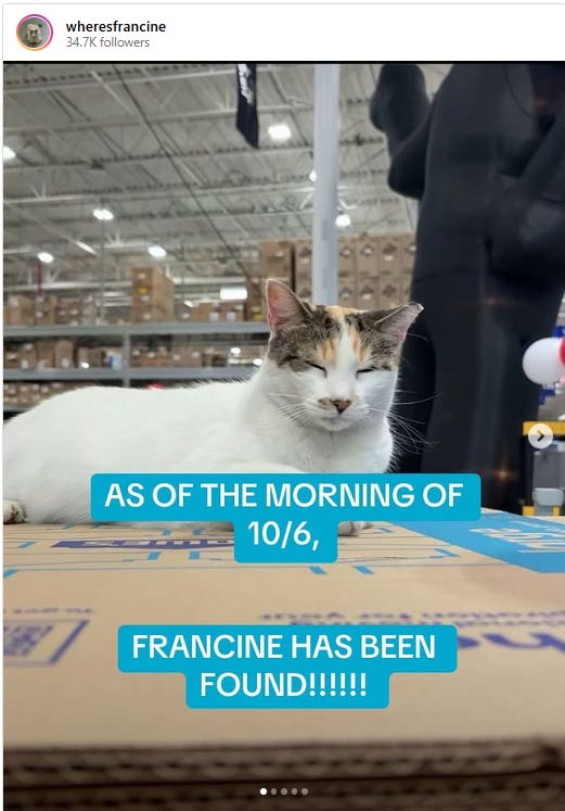 On Saturday, Francine was spotted on camera near the distribution center, and she was later caught in a humane trap. (wheresfrancine / Instagram)