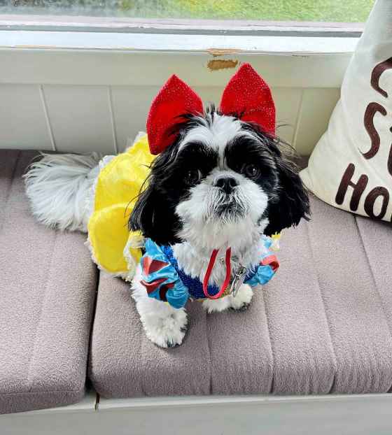 Phoebe in her Snow White costume