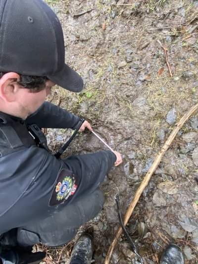 A B.C. conservation officer measures a footprint in the mud during the search in Bella Coola on Saturday Nov. 22, 2025, for a bear that attacked a group of children and their teachers. THE CANADIAN PRESS/Handout — B.C. Conservation Officer Service (Mandatory Credit)