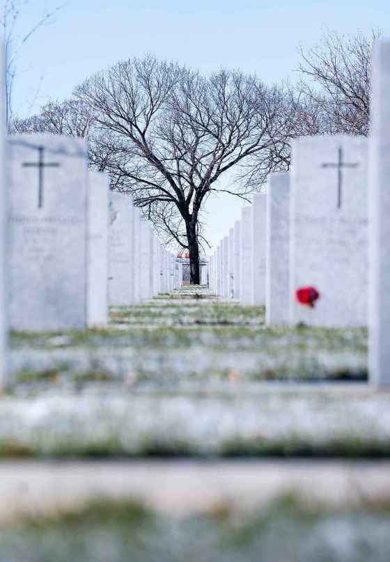 The Field of Honour at Winnipeg's Brookside Cemetery is one of the oldest and largest military interment sites in Canada. (Ruth Bonneville / Free Press)