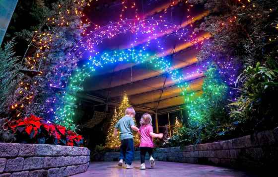Siblings William and Brooklyn take in the Luminous light display that opened at The Leaf last weekend. The display, which runs until Jan. 11, features colourfully lit trees and seasonal plants. (John Woods / Free Press)
