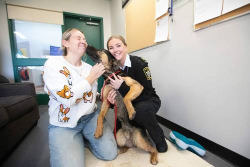 MIKAELA MACKENZIE / FREE PRESS
                                ‘What we like to do is pair personalities,’ says Animal Services Agency’s Jennifer Medlicott (left) with colleague Camille Williams and Business Buddies’ Brandt.