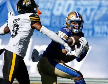 JOHN WOODS / CANADIAN PRESS FILES
                                Blue Bombers receiver Dillon Mitchell catches a touchdown pass against the Hamilton Tiger-Cats at Princess Auto Stadium on Sept. 27.
