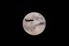 A UPS Boeing 747 inbound from Anchorage, Alaska, passes in front of the supermoon as it approaches Louisville Muhammad Ali International Airport on Wednesday, Nov. 5, 2025, in Louisville, Ky. (AP Photo/Jon Cherry)