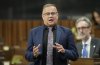 MP for Saint John-Kennebecasis Wayne Long rises during question period on Parliament Hill in Ottawa on Friday, Nov. 21, 2025. THE CANADIAN PRESS/Adrian Wyld