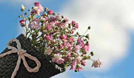 Wrap bouquets and potted plants securely when transporting in winter. (Pixabay)