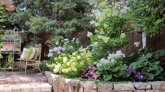 Creeping thyme softens the edge of a retaining wall. (Colleen Zacharias)