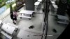 This security footage provided by Sprig + Fern The Meadows, shows a seal entering a bar in Richmond, New Zealand, on Nov. 30, 2025. (Sprig + Fern The Meadows via AP)