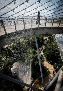 JOHN WOODS / FREE PRESS FILES
                                The Leaf has sprouted at least seven lawsuits since construction began. The latest alleges faulty installation of a pair of dishwashers.