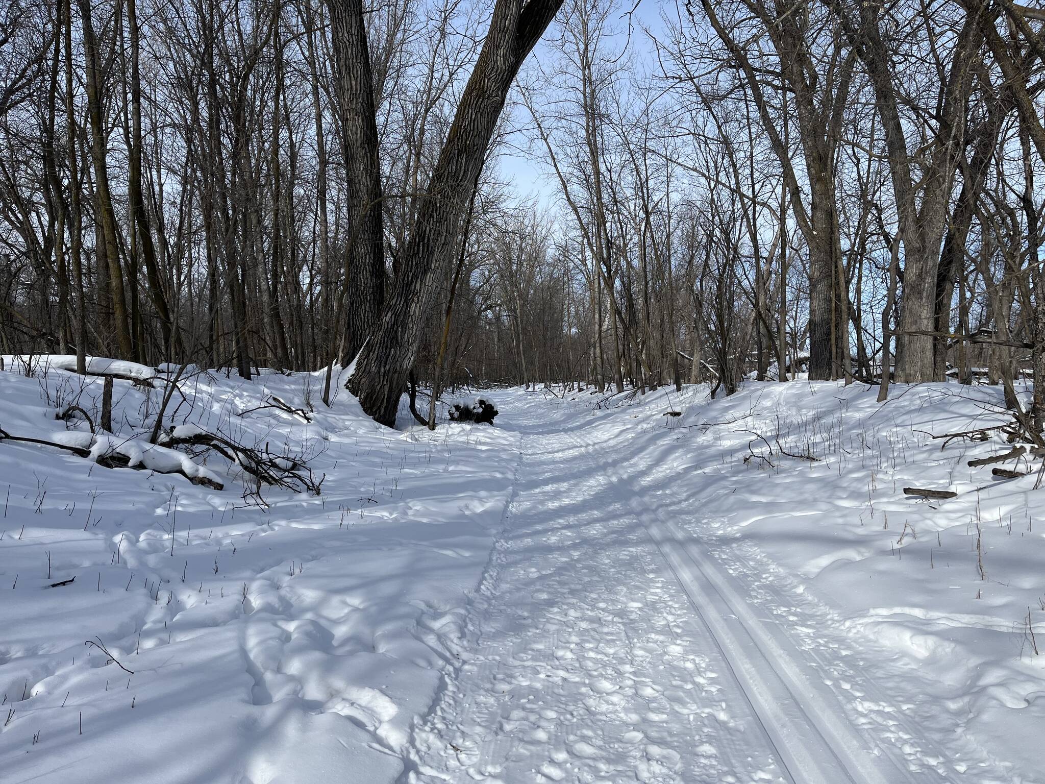 Climate change touches the world, and my family