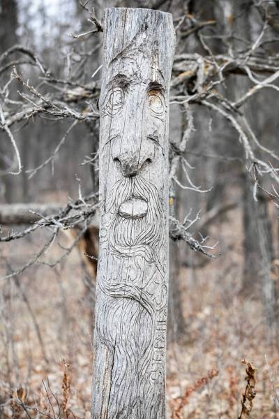 MIKAELA MACKENZIE / FREE PRESS FILES
                                Carvings in the trees along the Bois des Esprits trail.