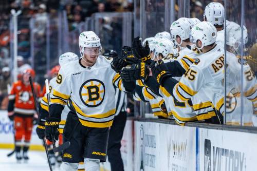 Ethan Swope / THE ASSOCIATED PRESS FILES
                                Boston Bruins forward Morgan Geekie (39) celebrates his goal against Anaheim back in November. The Strathclair product had netted 22 goals going into game action against the Winnipeg Jets Thursday night.