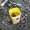 RUTH BONNEVILLE / FREE PRESS FILES
                                The city&rsquo;s Executive policy committee also wants to expand a program that clears needles, weapons, drugs and other dangerous debris from city parks.
